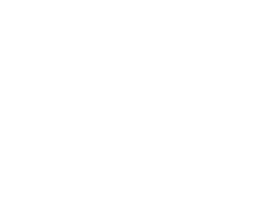 Reece Plumbing Supplies Logo